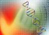 Генетический код: описание, характеристики, история исследования