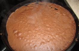 케피어를 곁들인 초콜릿 팬케이크 코코아 파우더를 곁들인 케피어 팬케이크 레시피